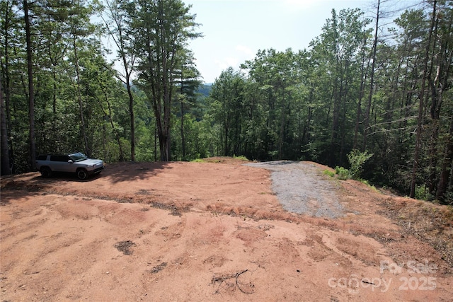 TBD Bryson Rd, Brevard, NC 28712 - photo 6