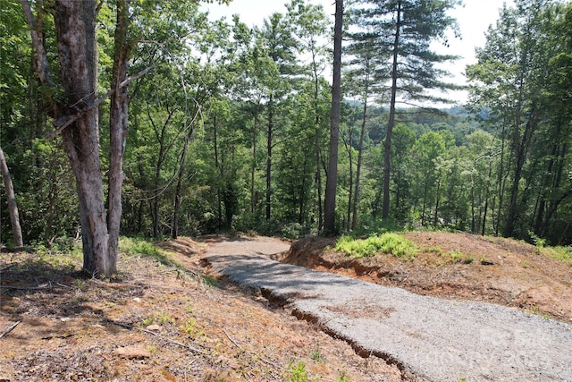 TBD Bryson Rd, Brevard, NC 28712 - photo 7