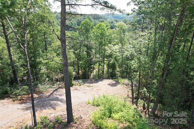TBD Bryson Rd, Brevard, NC 28712 - photo 8