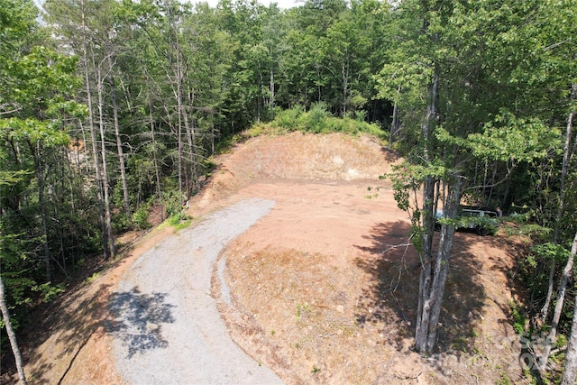 TBD Bryson Rd, Brevard, NC 28712 - photo 10
