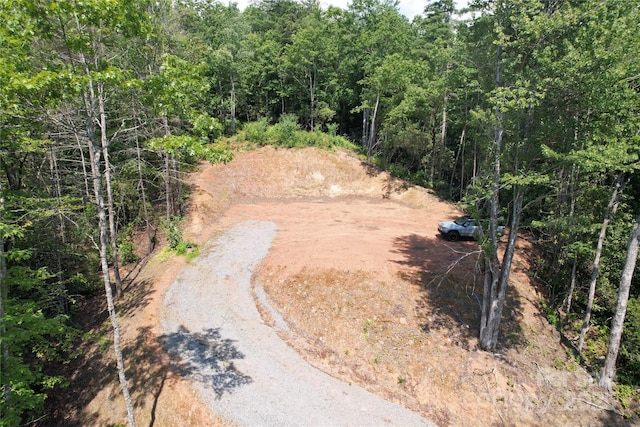 TBD Bryson Rd, Brevard, NC 28712 - photo 11