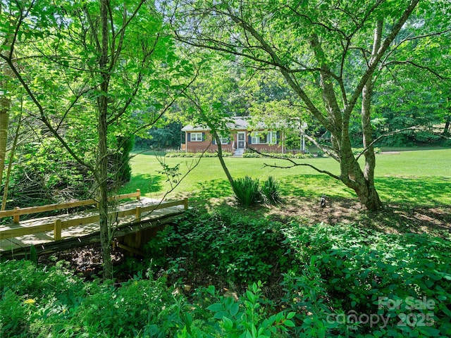 43 Jarrett Rd, Bakersville, NC 28705 - photo 21
