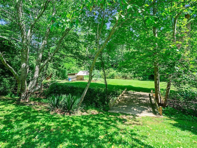 43 Jarrett Rd, Bakersville, NC 28705 - photo 22