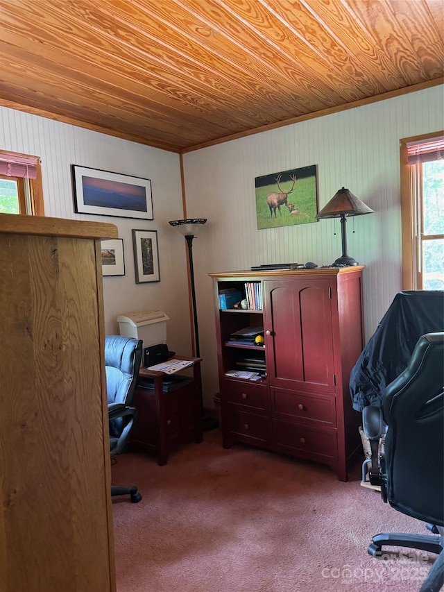 673 Chestnut Ln, Mars Hill, NC 28754 - home office with wooden ceiling, carpet, and wooden walls
