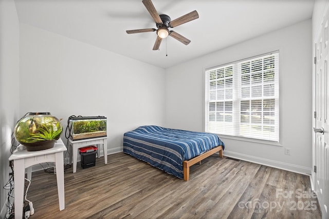 1528 Autumn Brook Ln, York, SC 29745 - bedroom featuring wood finished floors and a ceiling fan