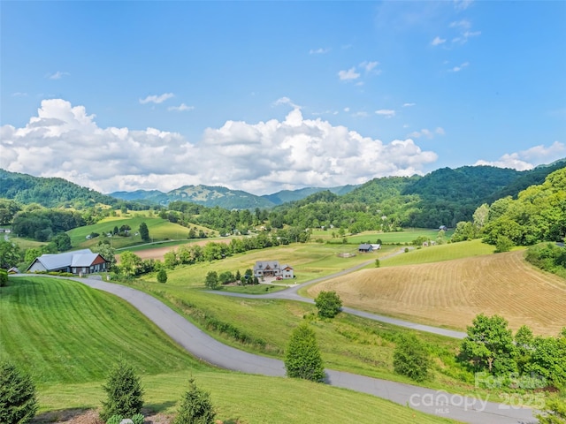164 Flowing Hills Dr, Clyde, NC 28721 - photo 13