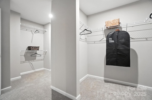 9945 Cask Way, Huntersville, NC 28078 - walk in closet featuring carpet floors