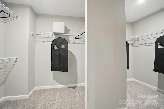 9843 Quercus Ln, Huntersville, NC 28078 - walk in closet featuring carpet flooring