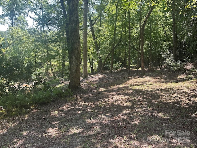 00 Harmony Grove Rd Unit 10, Nebo, NC 28761 - photo 5