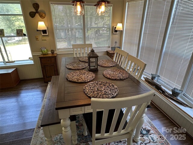 104 Pine St Unit 201, New London, NC 28127 - dining space featuring wood finished floors, wainscoting, and plenty of natural light