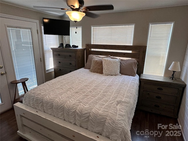 104 Pine St Unit 201, New London, NC 28127 - bedroom with wood finished floors and ceiling fan