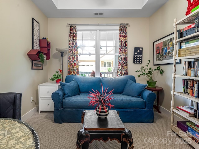 38 Pinebrook Club Dr, Asheville, NC 28804 - photo 29