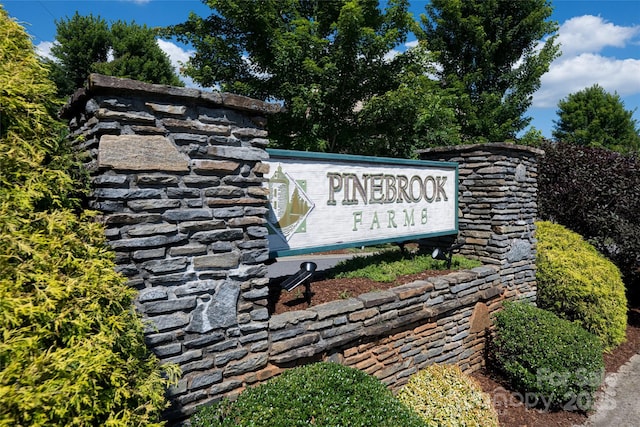 38 Pinebrook Club Dr, Asheville, NC 28804 - photo 43
