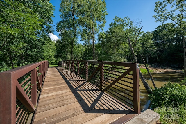 38 Pinebrook Club Dr, Asheville, NC 28804 - photo 45