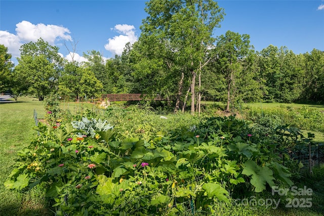 38 Pinebrook Club Dr, Asheville, NC 28804 - photo 46