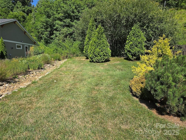 38 Pinebrook Club Dr, Asheville, NC 28804 - photo 47
