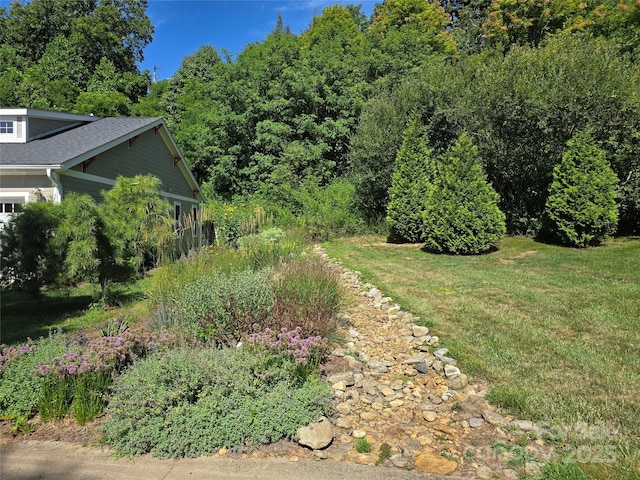 38 Pinebrook Club Dr, Asheville, NC 28804 - photo 40