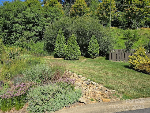38 Pinebrook Club Dr, Asheville, NC 28804 - photo 41