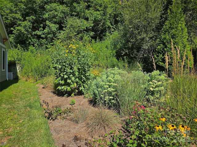 38 Pinebrook Club Dr, Asheville, NC 28804 - photo 42