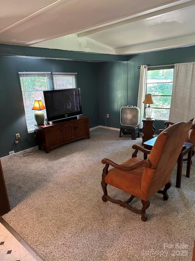 3036 Holly Hill Rd, Hendersonville, NC 28792 - carpeted living area featuring beamed ceiling and healthy amount of natural light