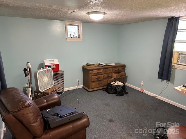 3036 Holly Hill Rd, Hendersonville, NC 28792 - miscellaneous room with carpet flooring and a textured ceiling