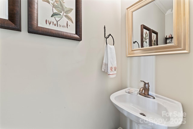 19245 Stableford Ln, Cornelius, NC 28031 - bathroom with a sink and ornamental molding