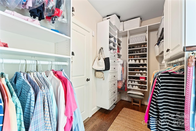 19245 Stableford Ln, Cornelius, NC 28031 - spacious closet featuring dark wood finished floors