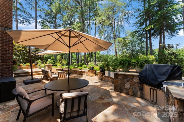 19245 Stableford Ln, Cornelius, NC 28031 - view of patio / terrace featuring area for grilling and outdoor dining space