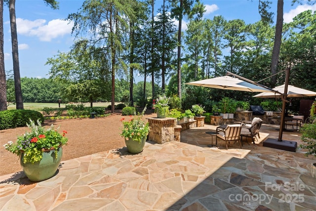 19245 Stableford Ln, Cornelius, NC 28031 - view of patio