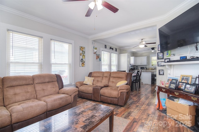 502 Allison St NW, Concord, NC 28025 - photo 7