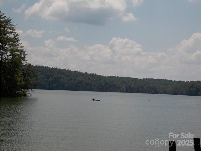 3788 Fish Hatchery Rd, Morganton, NC 28655 - photo 34