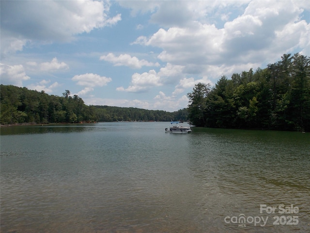 3788 Fish Hatchery Rd, Morganton, NC 28655 - photo 35