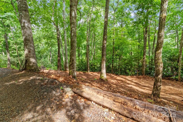 179 Heartland Ln, Burnsville, NC 28714 - photo 3