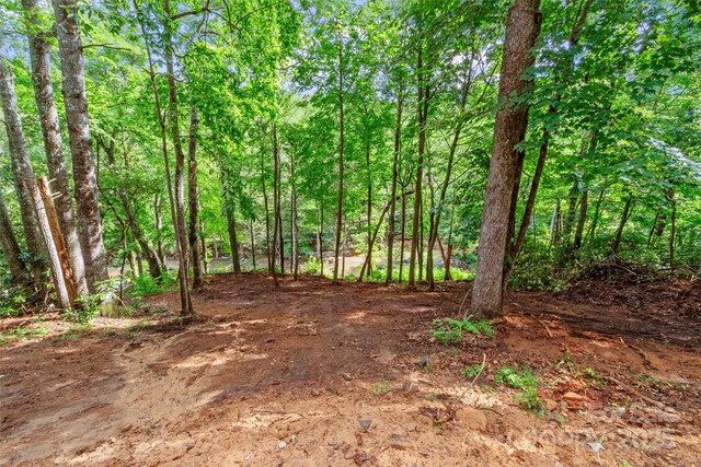 179 Heartland Ln, Burnsville, NC 28714 - photo 4