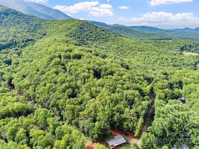 179 Heartland Ln, Burnsville, NC 28714 - photo 12