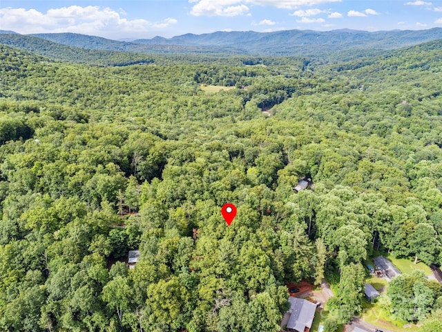 179 Heartland Ln, Burnsville, NC 28714 - photo 13