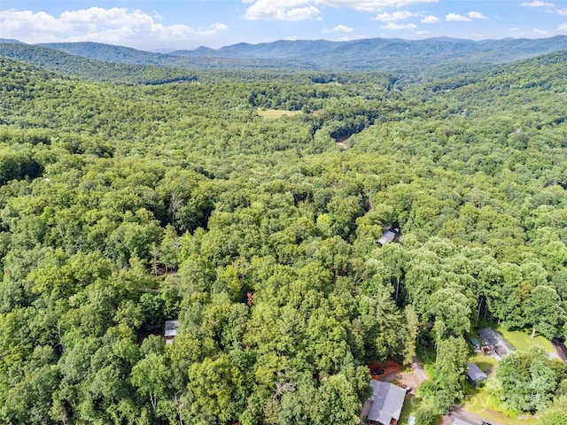 179 Heartland Ln, Burnsville, NC 28714 - photo 14