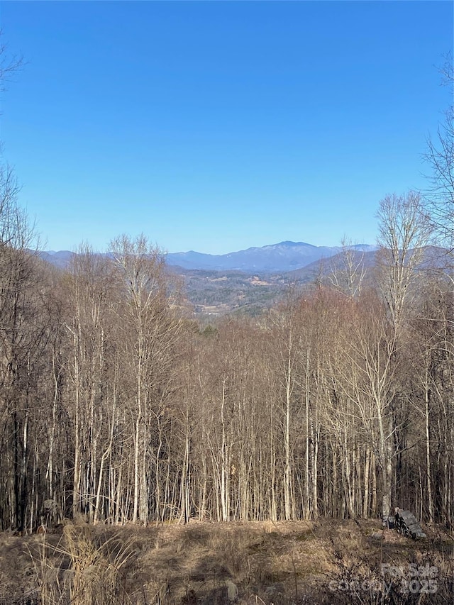 999 Red Wolf Run Unit 48, Mars Hill, NC 28754 - photo 2