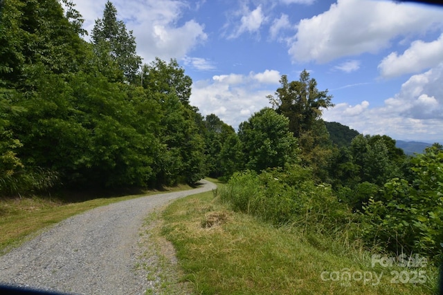 999 Red Wolf Run Unit 48, Mars Hill, NC 28754 - photo 3
