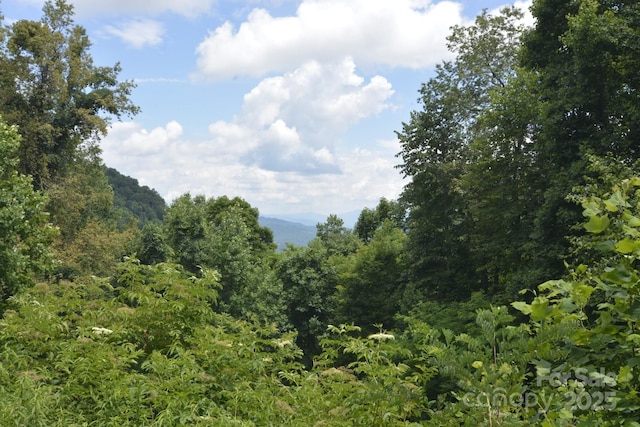 999 Red Wolf Run Unit 48, Mars Hill, NC 28754 - photo 4