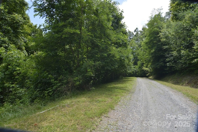 999 Red Wolf Run Unit 48, Mars Hill, NC 28754 - photo 5