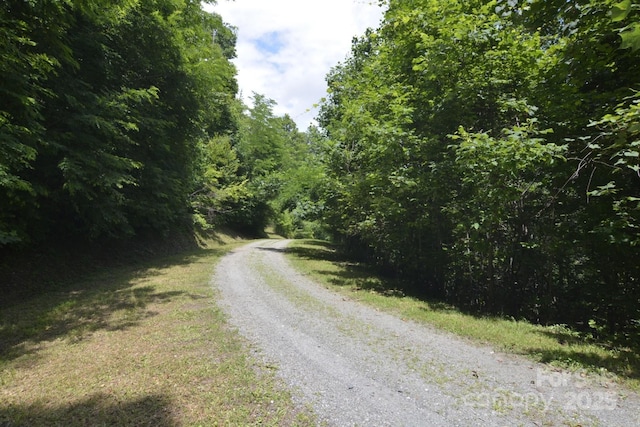 999 Red Wolf Run Unit 48, Mars Hill, NC 28754 - photo 6