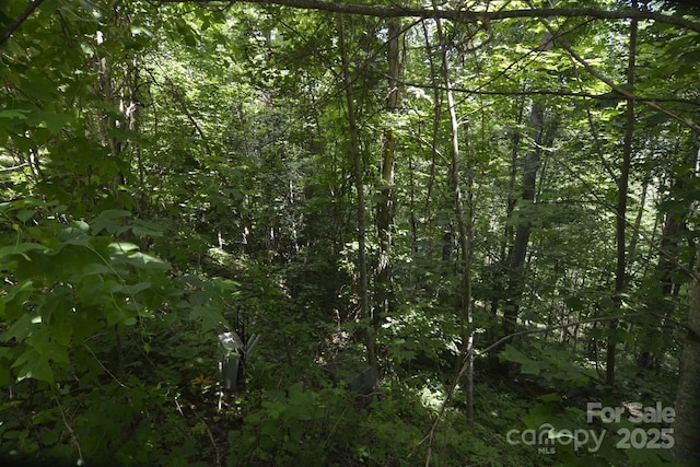 999 Red Wolf Run Unit 48, Mars Hill, NC 28754 - photo 7
