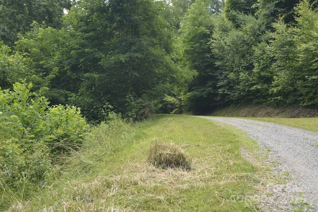 999 Red Wolf Run Unit 48, Mars Hill, NC 28754 - photo 8