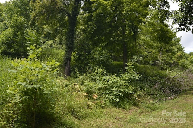 999 Red Wolf Run Unit 48, Mars Hill, NC 28754 - photo 11