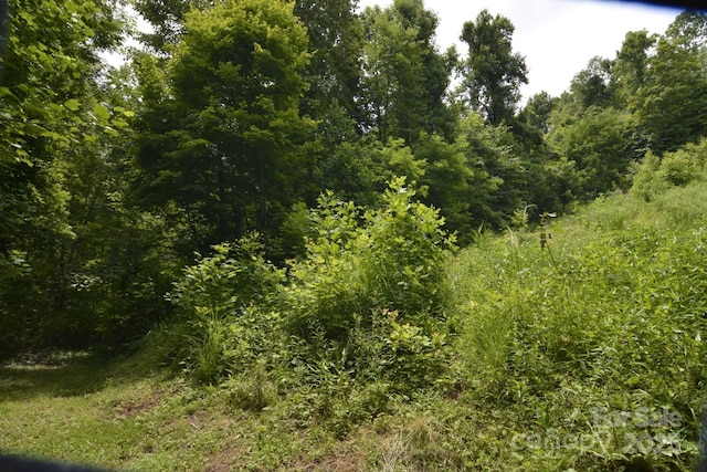 999 Red Wolf Run Unit 48, Mars Hill, NC 28754 - photo 12