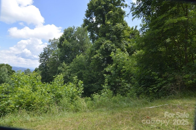 999 Red Wolf Run Unit 48, Mars Hill, NC 28754 - photo 13