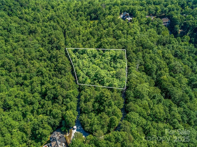 TBD Quartz Mine Rd, Lake Toxaway, NC 28747 - photo 1