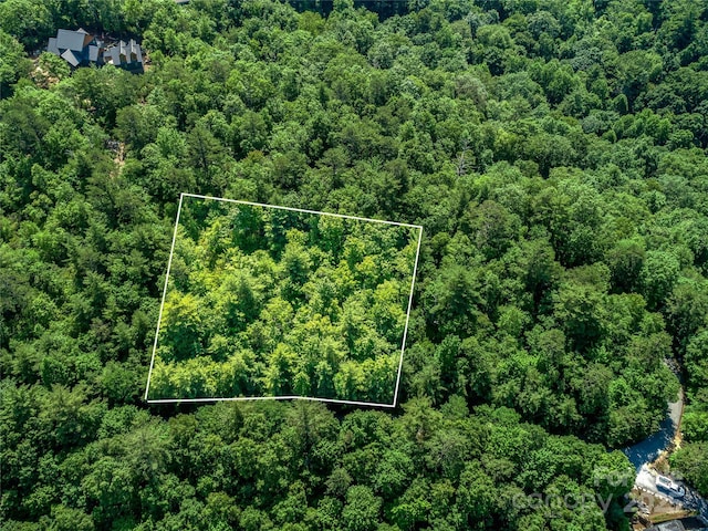 TBD Quartz Mine Rd, Lake Toxaway, NC 28747 - photo 2