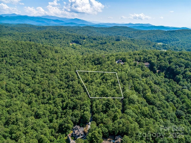 TBD Quartz Mine Rd, Lake Toxaway, NC 28747 - photo 3